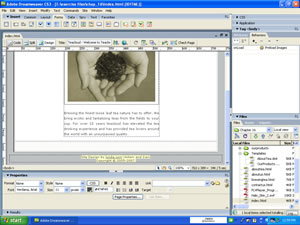 Library Item